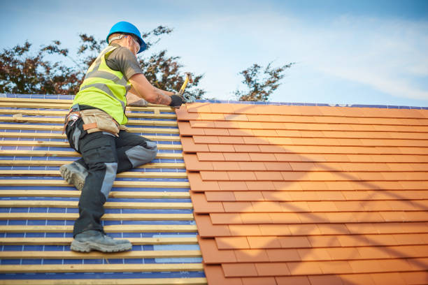 Best Roof Moss and Algae Removal  in Torrington, CT